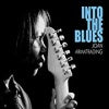 Into The Blues Complete Chord Chart